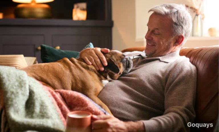 an image of an older dog sitting with the owner on a couch