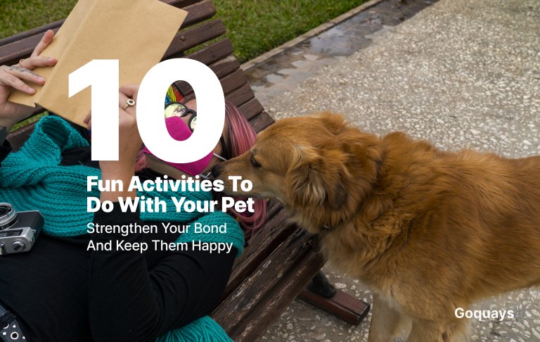 10 Fun Activities to Do with Your Pet