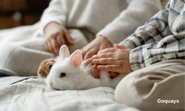 An image of a child gently petting a rabbit on their lap in a cozy living room