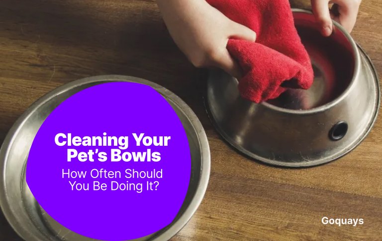 Cleaning Your Pet’s Bowls
