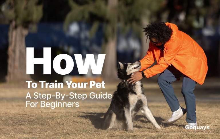 How to Train Your Pet