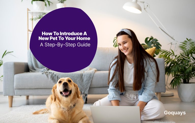 How to introduce a new pet to your home