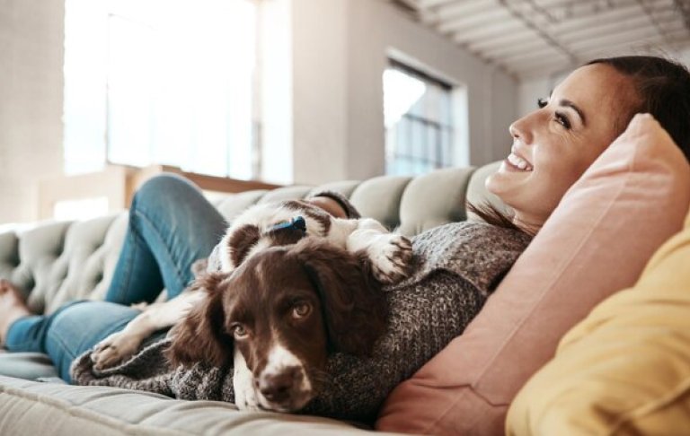 A pet owner sitting on a soft couch, gently cuddling their itchy dog wrapped in a blanket in a warm, cosy living room