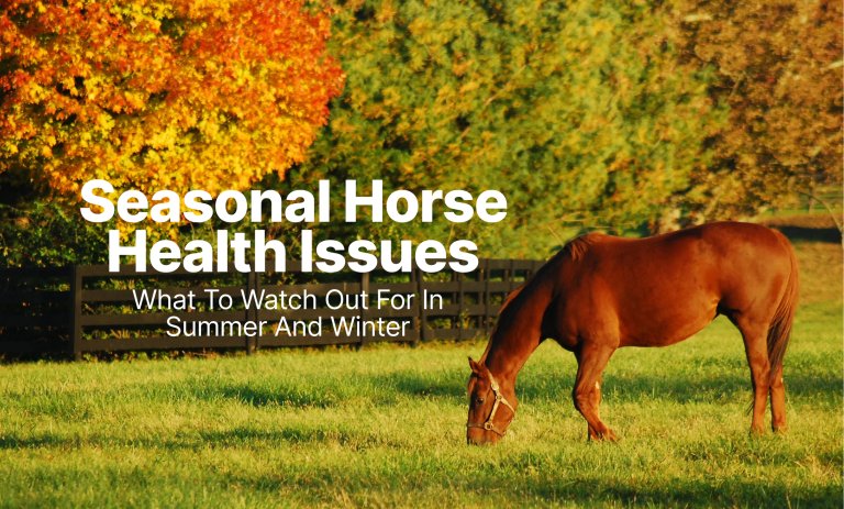 Seasonal Horse Health Issues