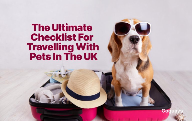 The Ultimate Checklist for Travelling with Pets in the UK
