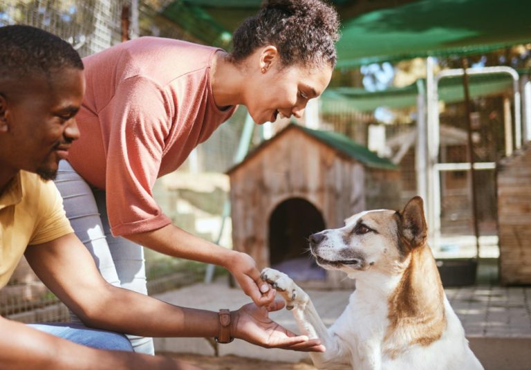 A woman waving goodbye to her excited dog at the entrance of a doggy day care centre