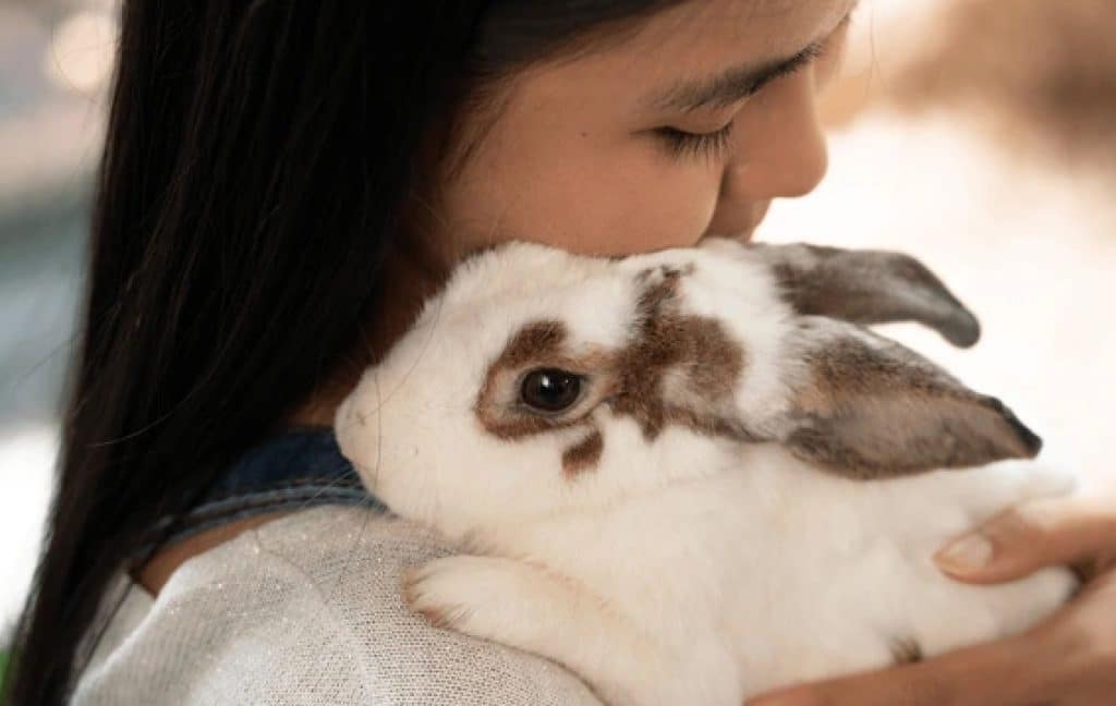 An affectionate rabbit owner caring for her bunny