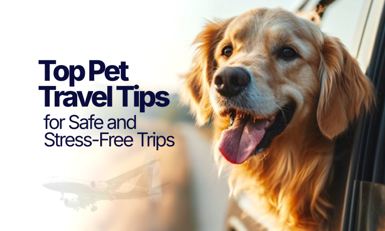 Top pet trravel tips