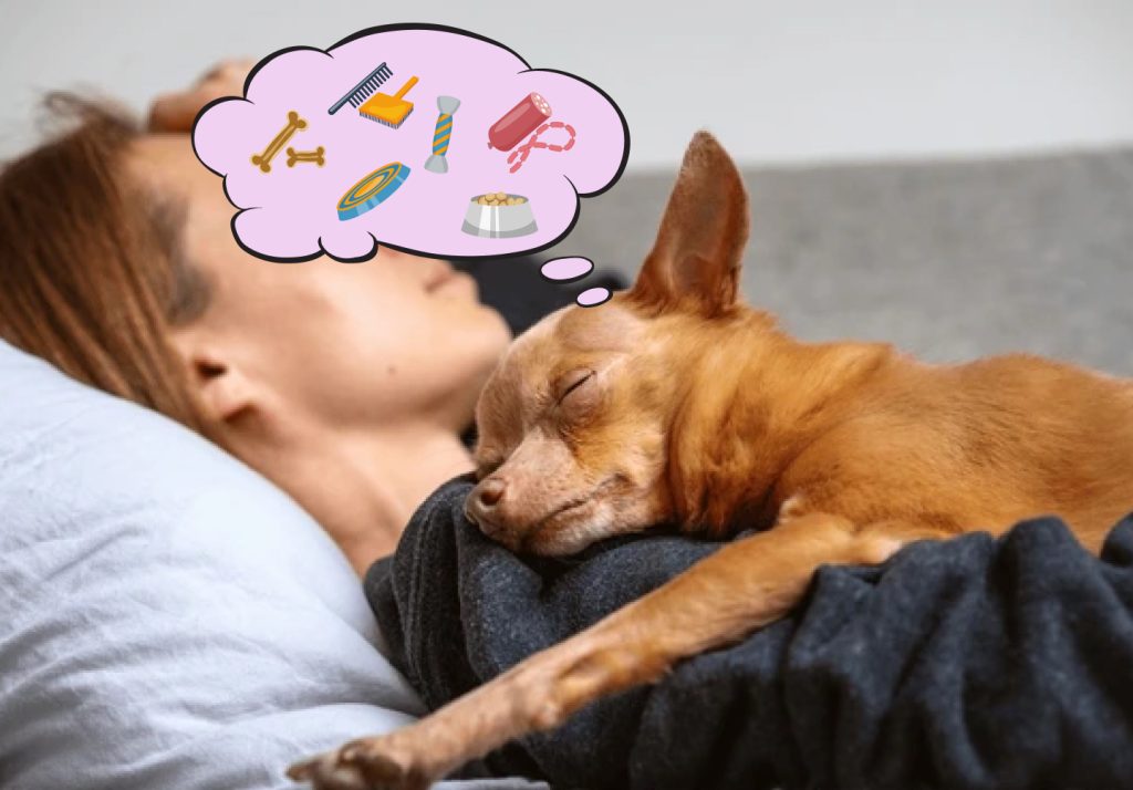 A dog sleeping and dreaming