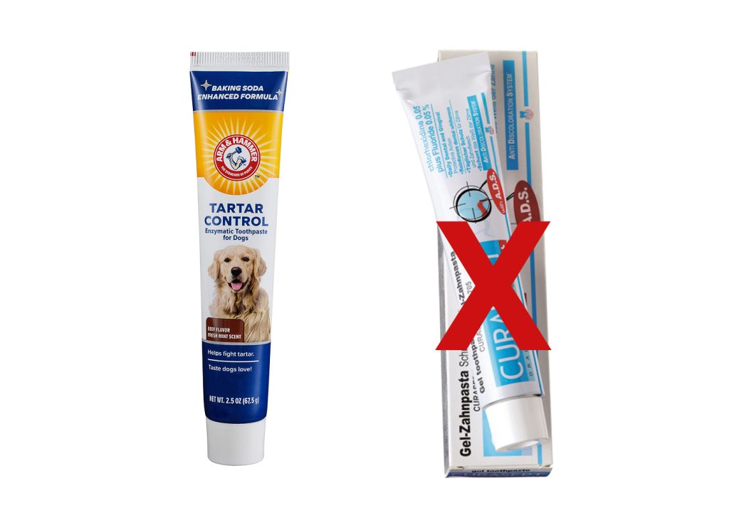 dog safe toothpaste