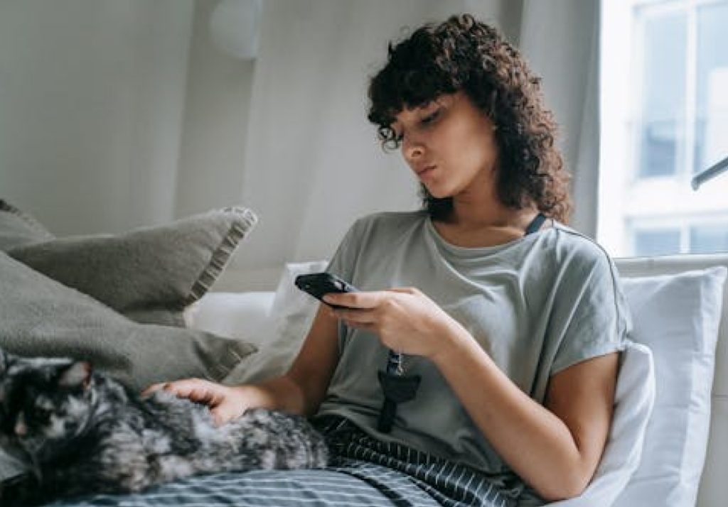 A pregnancy cat resting