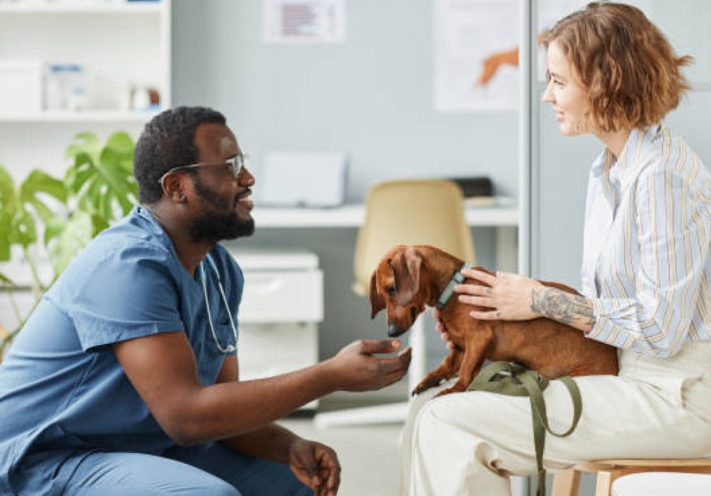 A pet owner describing their pet's separation anxiety traits to the vet