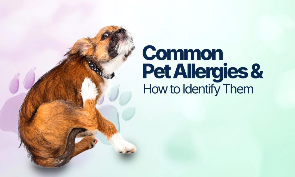 common pet allergies