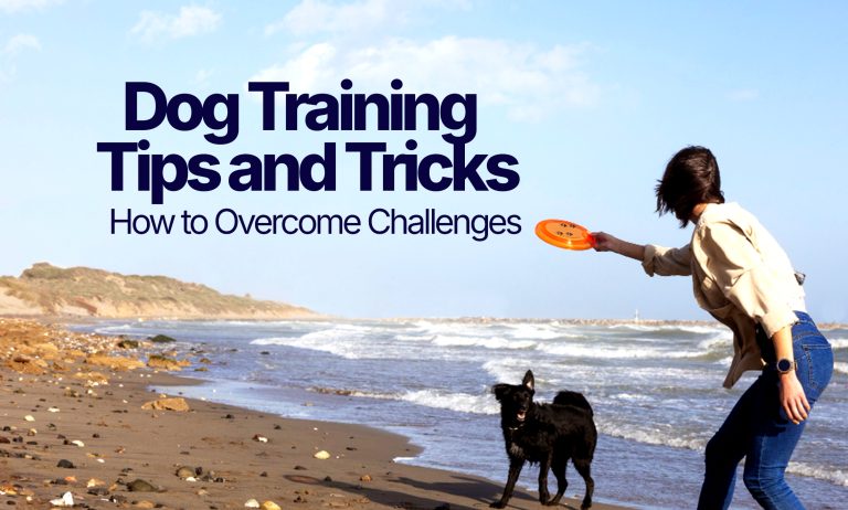 Dog-Training-Tips-and-Tricks