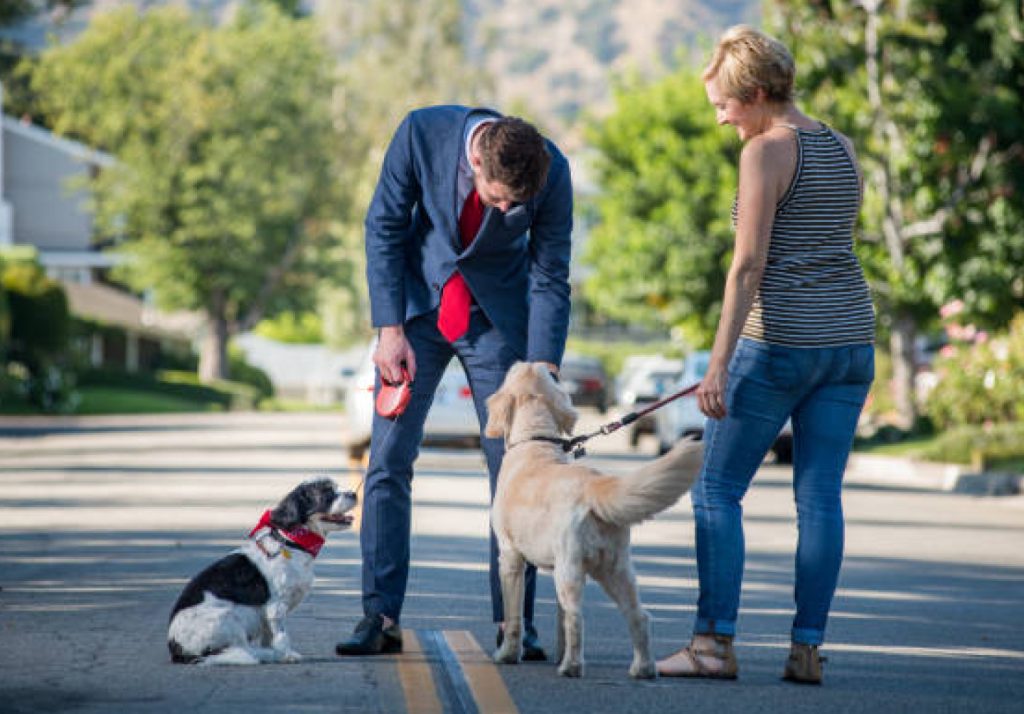 dog meeting new people