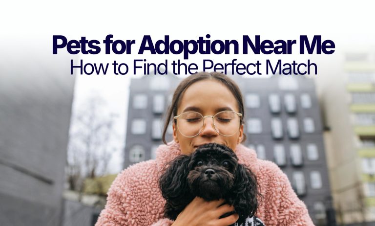 Pet-adoption-near-me