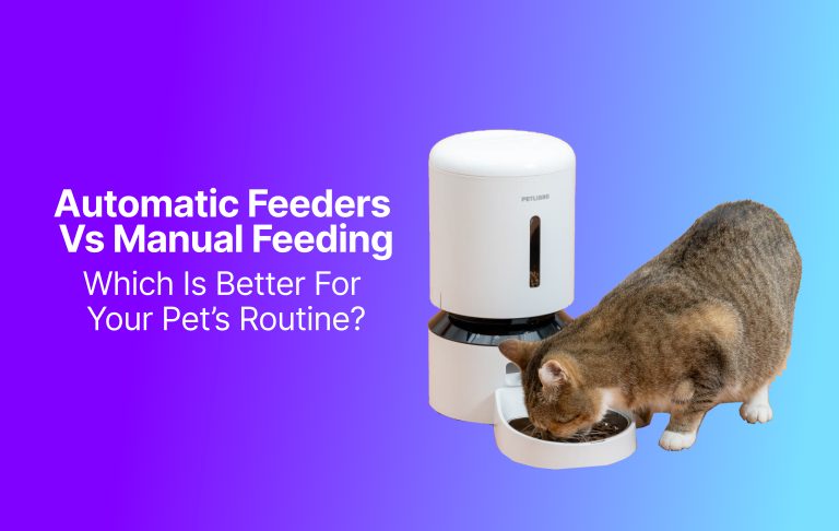 Automatic Feeders vs Manual Feeding