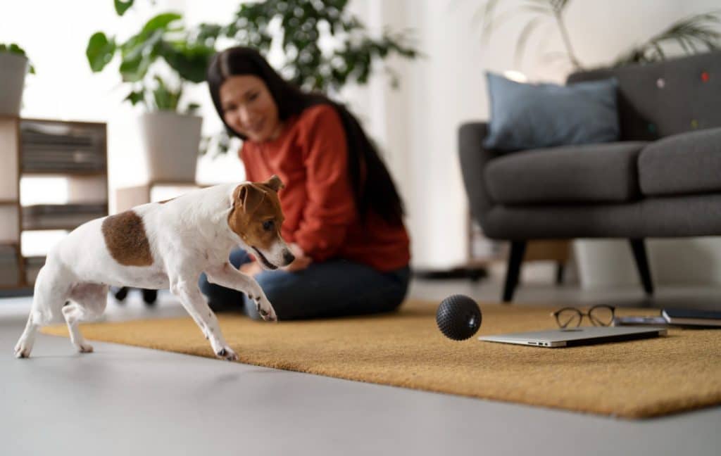 A dog pacing around the house