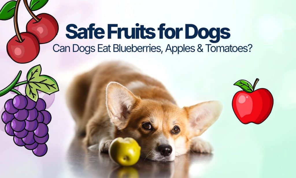 Safe fruits for Dogs