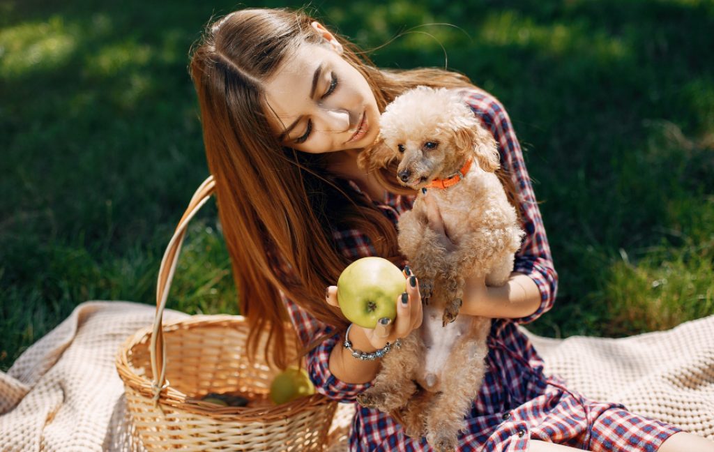 Seasonal fruits for dogs