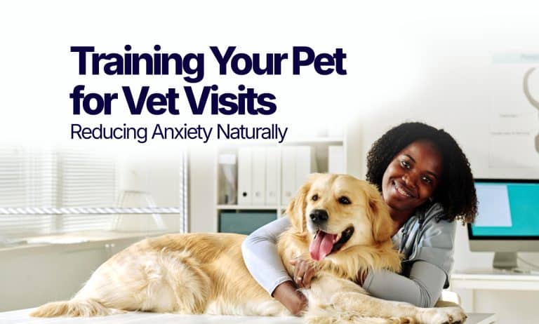 Training your pet for vet visits