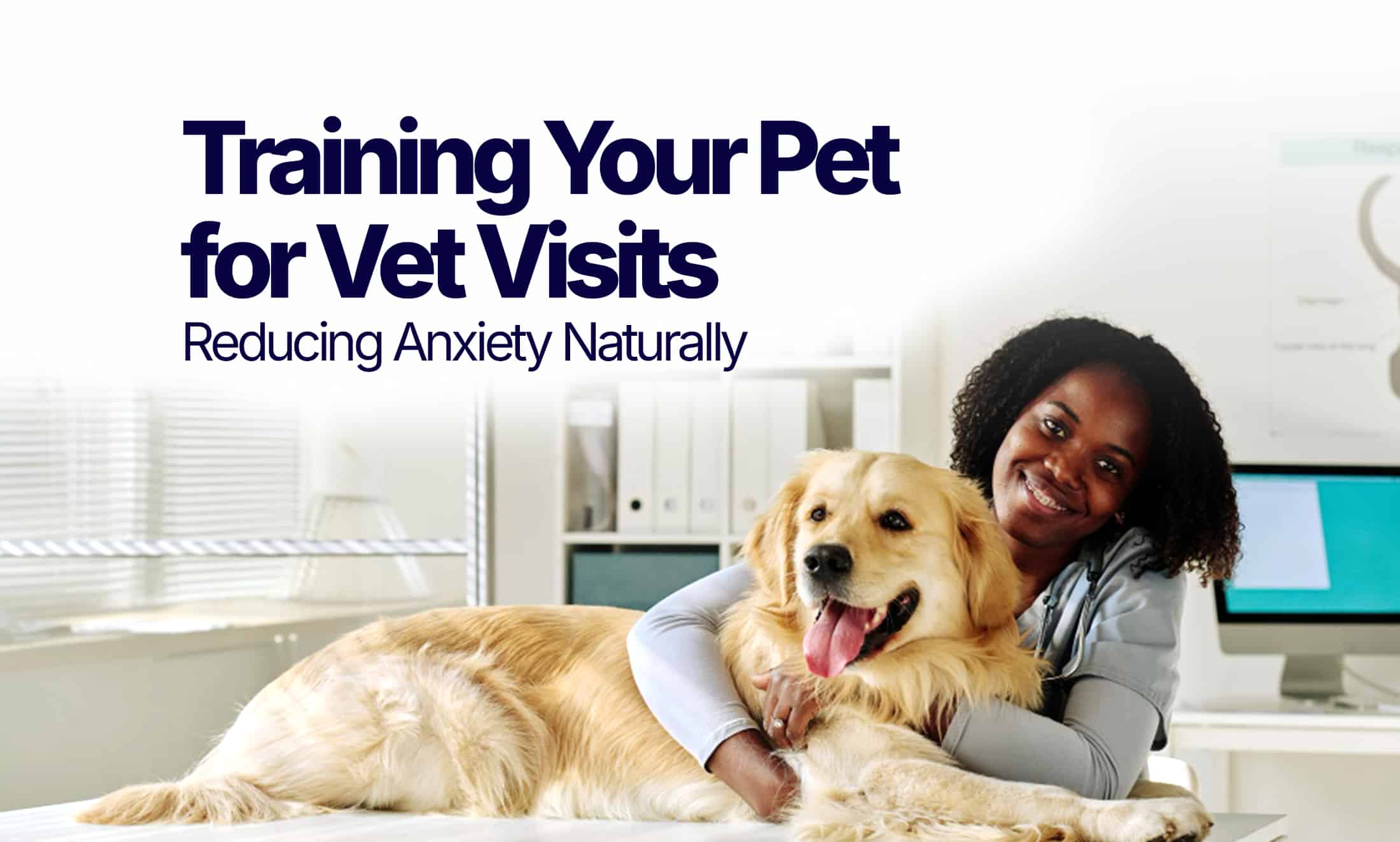 Training your pet for vet visits