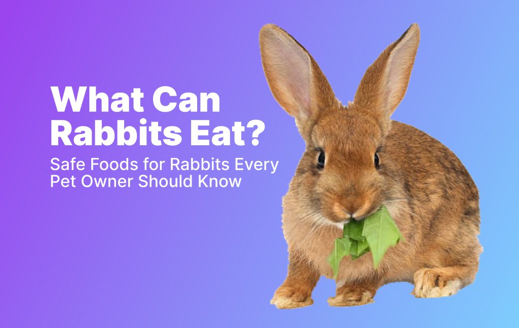 Safe foods for rabbit