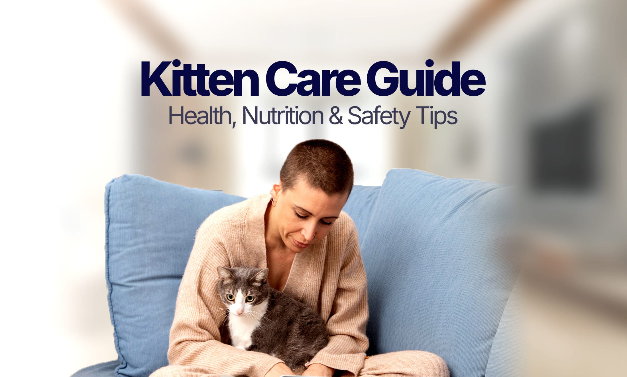 Kitten care guide