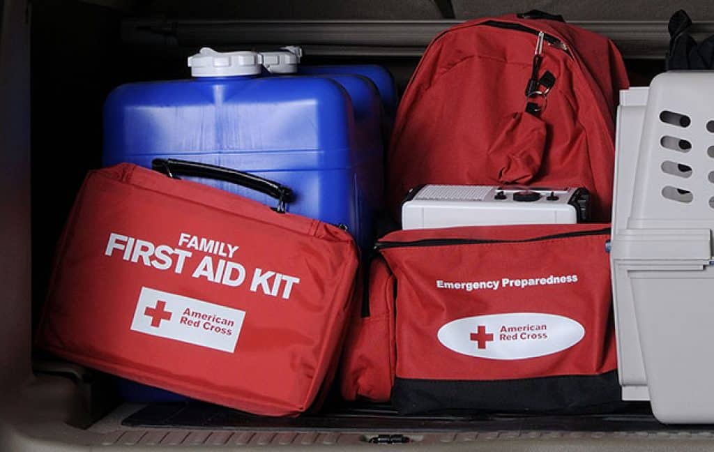 Pet first aid kit